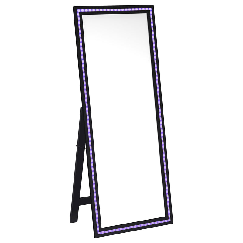 Windrose Standing Mirror with LED Lighting - Furniture City (CA)l