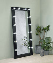 Zayan Floor Mirror with LED Lighting - Furniture City (CA)l