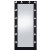 Zayan Floor Mirror with LED Lighting - Furniture City (CA)l