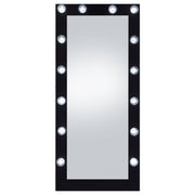Zayan Floor Mirror with LED Lighting - Furniture City (CA)l