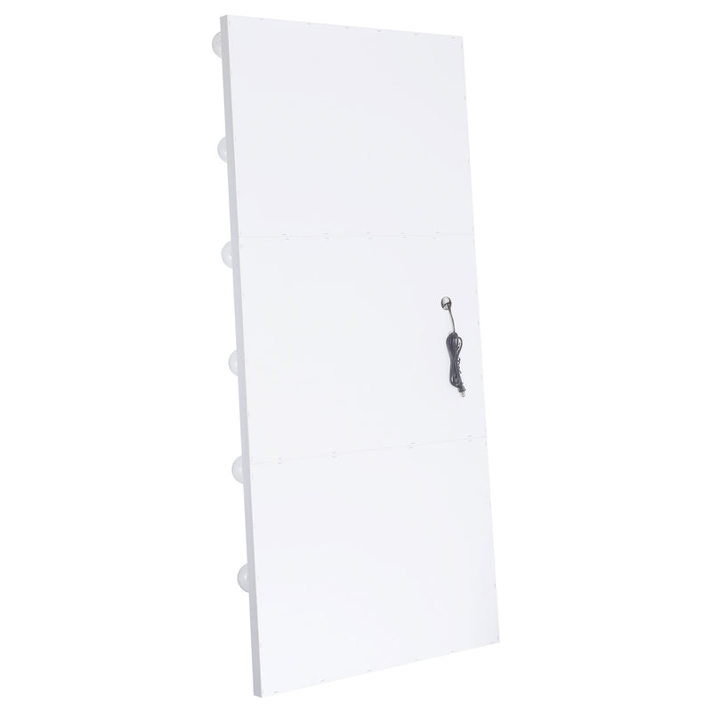 Zayan Floor Mirror with LED Lighting - Furniture City (CA)l