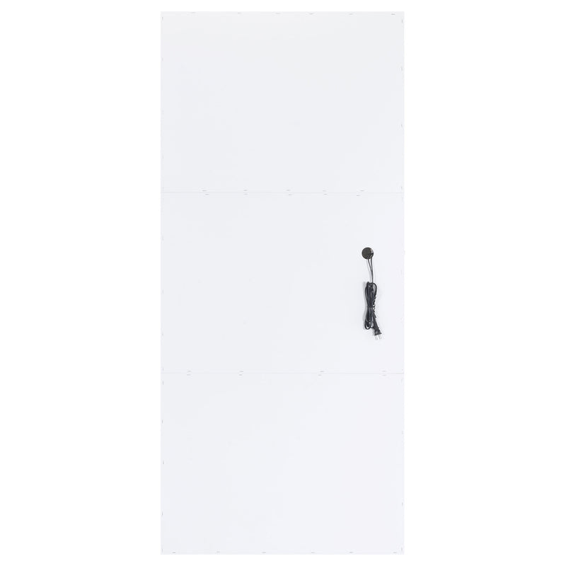 Zayan Floor Mirror with LED Lighting - Furniture City (CA)l