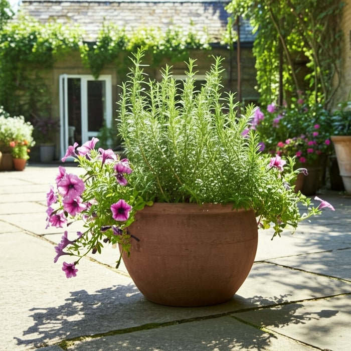 9x7-traditional-pot-planter-dark-brown-11