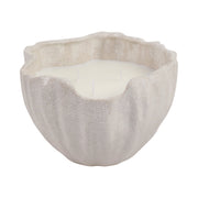9x9-48-oz-grapefruit-ginger-wavy-candle-ivory-1