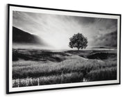 deborland-wall-art-3
