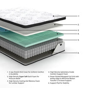 Chime 12 Inch Hybrid Mattress in a Box - Furniture City (CA)l