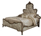 Platine de Royale King Panel Bed in Antique Platinum 09000EKPL3-101 image