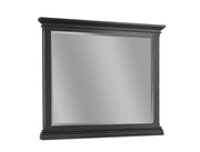 Aspenhome Oxford Landscape Mirror in Black - Furniture City (CA)l