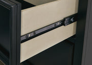 lanolee-full-panel-bed-and-chest-20