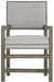 Bernhardt Canyon Ridge Arm Chair (Set of 2) in Desert Taupe 397-542 image