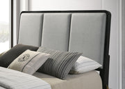 Arini Panel Bed - Furniture City (CA)l