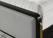 Arini Panel Bed - Furniture City (CA)l