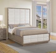 Durango Panel Bed - Furniture City (CA)l