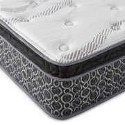 Hayes Medium Plush Pillow Top Hybrid Mattress - Furniture City (CA)l