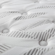 Hayes Medium Plush Pillow Top Hybrid Mattress - Furniture City (CA)l