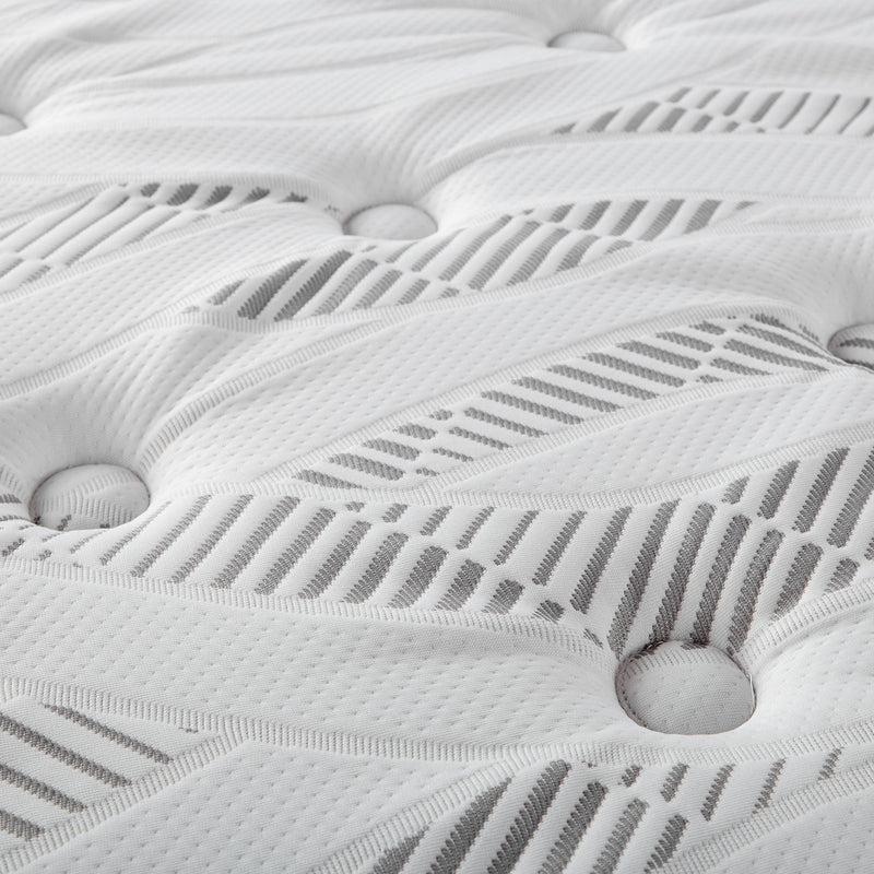 Hayes Medium Plush Pillow Top Hybrid Mattress - Furniture City (CA)l