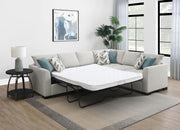 Ashford Fold-Out Sleeper Sectional Sofa - Furniture City (CA)l
