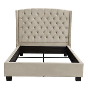 Majestic Queen Tufted Bed in Tan Velvet with Nail Head Wing Accents by Diamond Sofa - Furniture City (CA)l