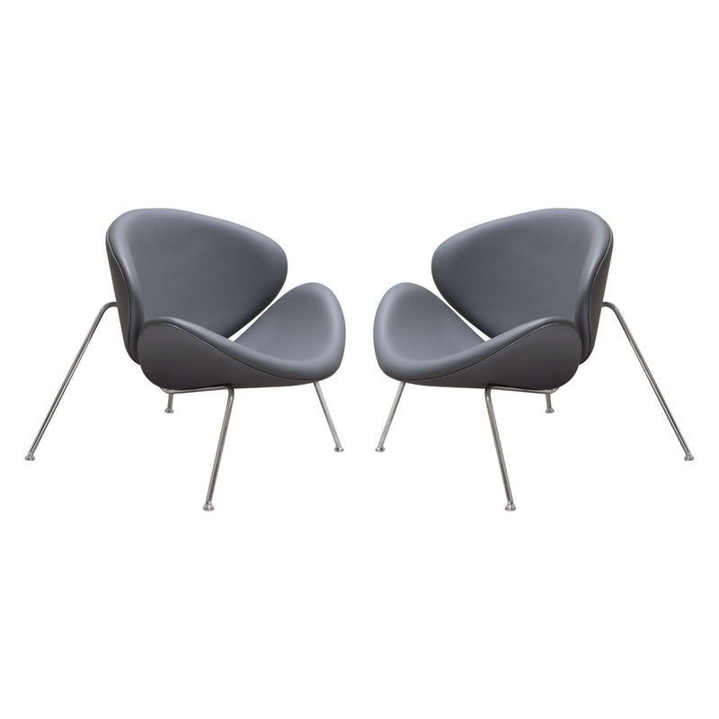 Set of (2) Roxy Accent Chair with Chrome Frame by Diamond Sofa - GREY - Furniture City (CA)l