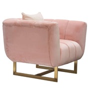 Venus Chair in Blush Pink Velvet w/ Contrasting Pillows & Gold Finished Metal Base by Diamond Sofa - Furniture City (CA)l
