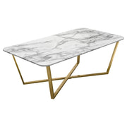 Vida Rectangle Cocktail Table w/ Faux Marble Top and Brushed Gold Metal Frame by Diamond Sofa - Furniture City (CA)l
