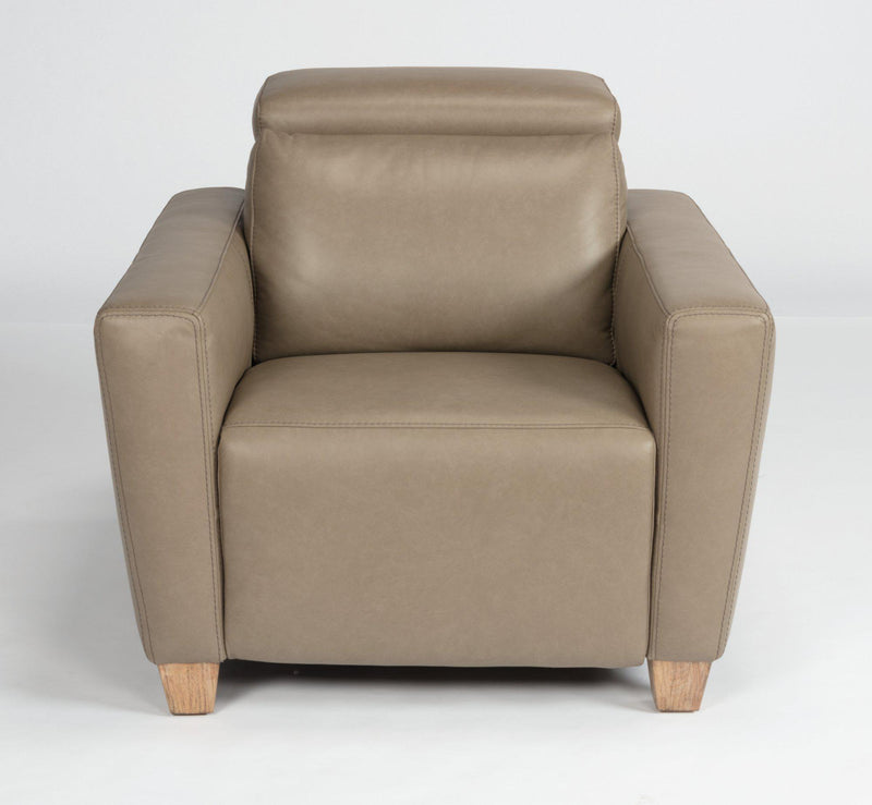 Flexsteel Latitudes Astra Leather Power Recliner w/Power Headrest - Furniture City (CA)l