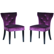 Elise Side Chair in Purple Velvet - Set of 2 - Furniture City (CA)l