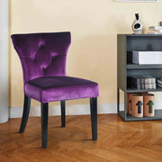 Elise Side Chair in Purple Velvet - Set of 2 - Furniture City (CA)l
