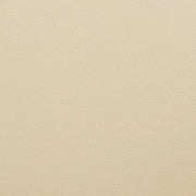 Adalyn Cream Faux Leather and Walnut Wood Dining Room Accent Chair - Furniture City (CA)l