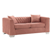 Cambridge Contemporary Loveseat in Brushed Stainless Steel and Blush Velvet - Furniture City (CA)l