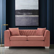 Cambridge Contemporary Loveseat in Brushed Stainless Steel and Blush Velvet - Furniture City (CA)l