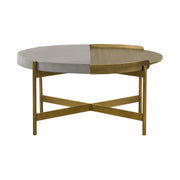 Dua Gray Concrete Coffee Table with Antique Brass - Furniture City (CA)l
