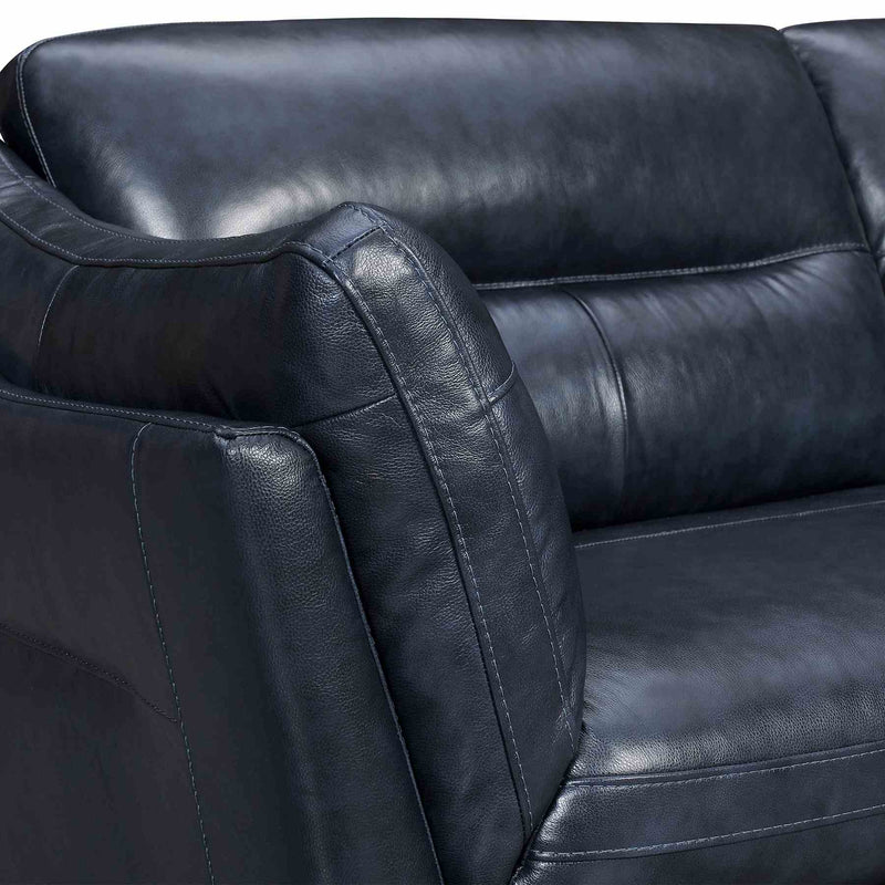 Franz 87" Modern Blue Genuine Leather Sofa - Furniture City (CA)l