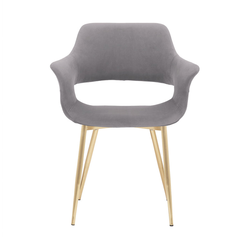 Gigi Gray Velvet Dining Room Chair with Gold Metal Legs - Set of 2 - Furniture City (CA)l