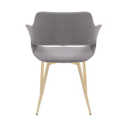Gigi Gray Velvet Dining Room Chair with Gold Metal Legs - Set of 2 - Furniture City (CA)l