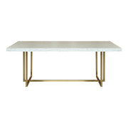 Harmony Contemporary Dining Table in Brushed Gold Finish and Ash Veneer Top - Furniture City (CA)l
