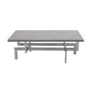 Illusion Gray Wood Coffee Table with Brushed Stainless Steel Base - Furniture City (CA)l