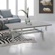 Illusion Gray Wood Coffee Table with Brushed Stainless Steel Base - Furniture City (CA)l