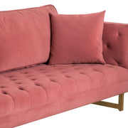 Lenox Pink Velvet Modern Sofa with Brass Legs - Furniture City (CA)l