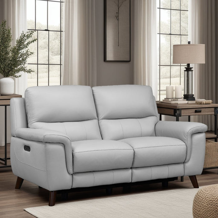 Lizette Contemporary Loveseat in Dark Brown Wood Finish and Dove Gray Genuine Leather