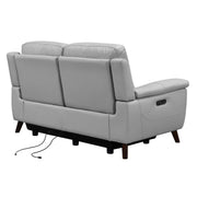 Lizette Contemporary Loveseat in Dark Brown Wood Finish and Dove Gray Genuine Leather - Furniture City (CA)l