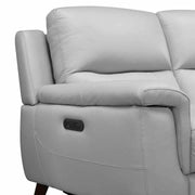 Lizette Contemporary Loveseat in Dark Brown Wood Finish and Dove Gray Genuine Leather - Furniture City (CA)l