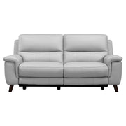 Lizette Contemporary Sofa in Dark Brown Wood Finish and Dove Gray Genuine Leather - Furniture City (CA)l