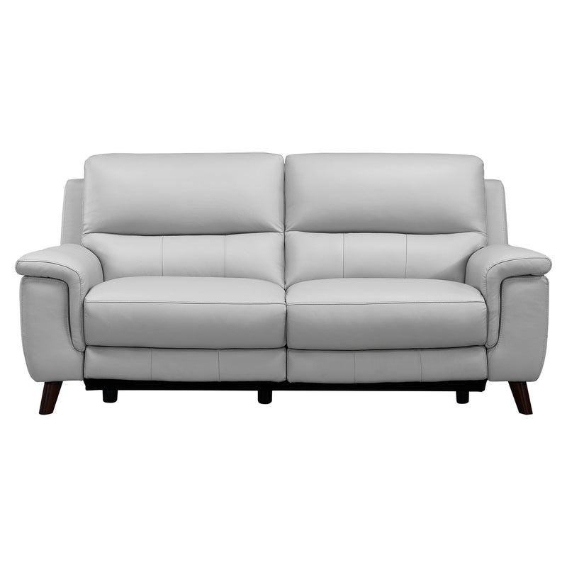 Lizette Contemporary Sofa in Dark Brown Wood Finish and Dove Gray Genuine Leather - Furniture City (CA)l