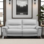 Lizette Contemporary Sofa in Dark Brown Wood Finish and Dove Gray Genuine Leather - Furniture City (CA)l