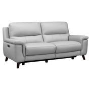Lizette Contemporary Sofa in Dark Brown Wood Finish and Dove Gray Genuine Leather - Furniture City (CA)l