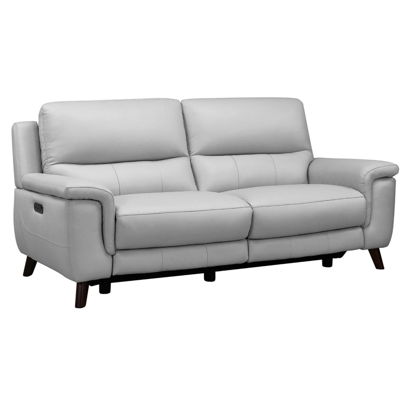 Lizette Contemporary Sofa in Dark Brown Wood Finish and Dove Gray Genuine Leather - Furniture City (CA)l