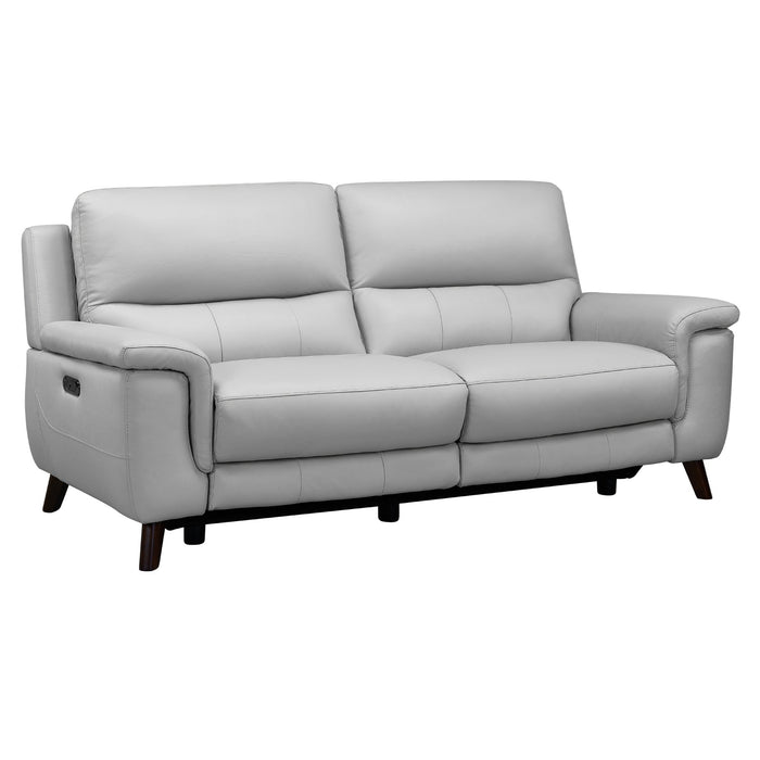 Lizette Contemporary Sofa in Dark Brown Wood Finish and Dove Gray Genuine Leather