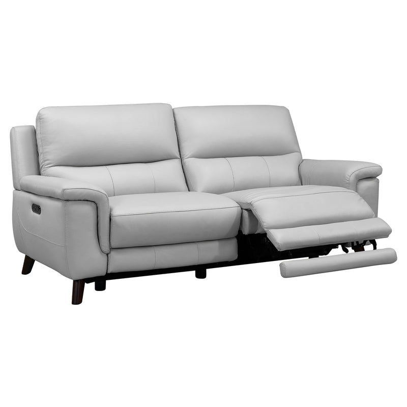 Lizette Contemporary Sofa in Dark Brown Wood Finish and Dove Gray Genuine Leather - Furniture City (CA)l