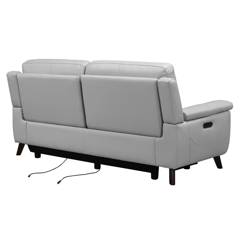 Lizette Contemporary Sofa in Dark Brown Wood Finish and Dove Gray Genuine Leather - Furniture City (CA)l